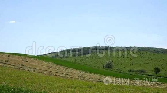 有绿树和田野的山视频