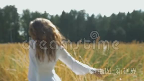 一个穿着白色连衣裙的女人带着小麦沿着田野走着。 动作缓慢，注意力不集中