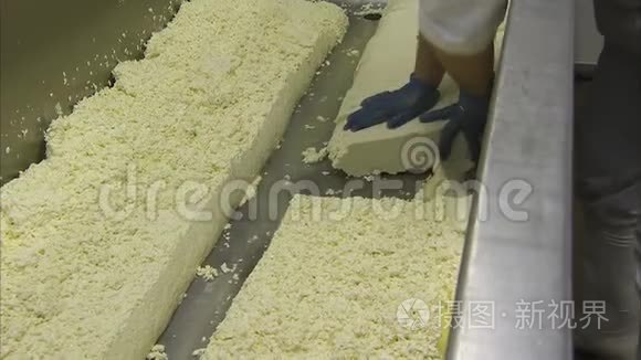 工厂工人加工奶酪视频