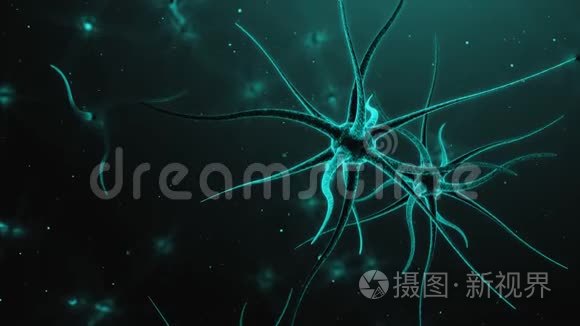 大脑神经元三维动画视频