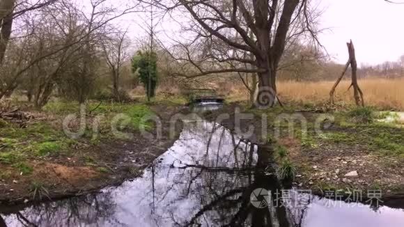 莫登厅公园湿地缓流河流视频