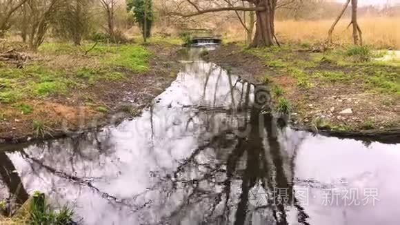 莫登厅公园湿地缓流河流