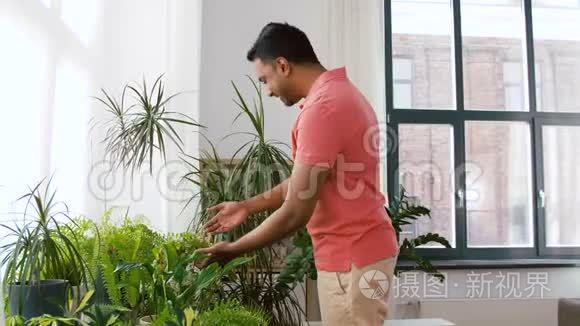 印度男人在家照顾家里的植物视频