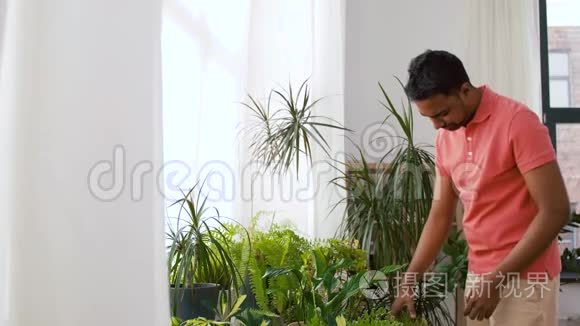 印度男人在家照顾家里的植物视频