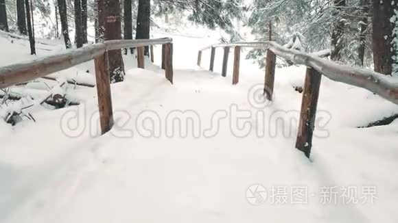 雪地里的山林小径和移动的马车视频