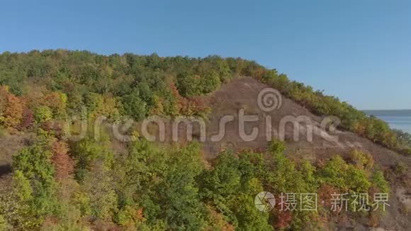 河岸上的森林山视频