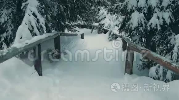 在雪地里沿着山林小径漫步视频