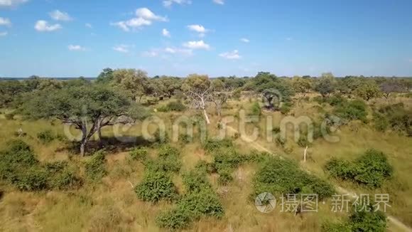 纳米比亚南布瓦非洲河流景观视频