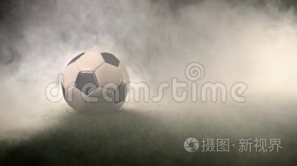球站在烟雾周围的草地上视频