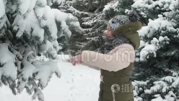 快乐的小女孩玩雪杉树枝，冬天的森林，美丽的风景