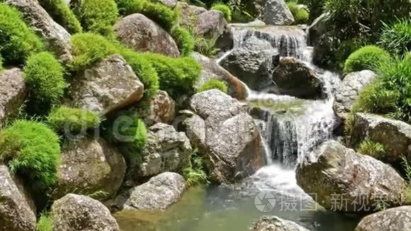 溪流流过苔藓的岩石视频