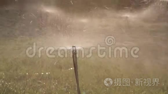 希腊农田上的洒水装置视频