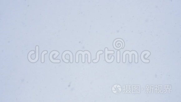 冬天的天空下着雪。 在寒冷的冬季，白色的蓬松雪花从天而降