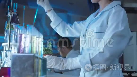 作物雌性在植物中滴入化学物质视频