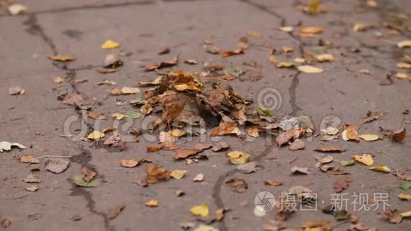 从垃圾中清扫肮脏的道路视频