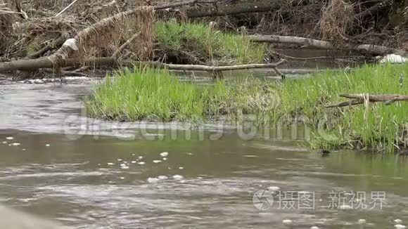 靠近隔离系统的小溪。