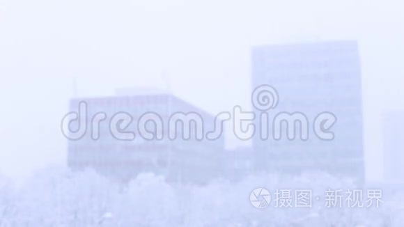 背景中的雪