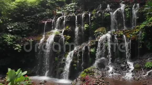 热带森林的瀑布。 印度尼西亚巴厘。 空中景观