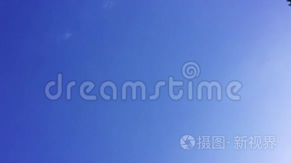 人类仰望天空祈祷视频