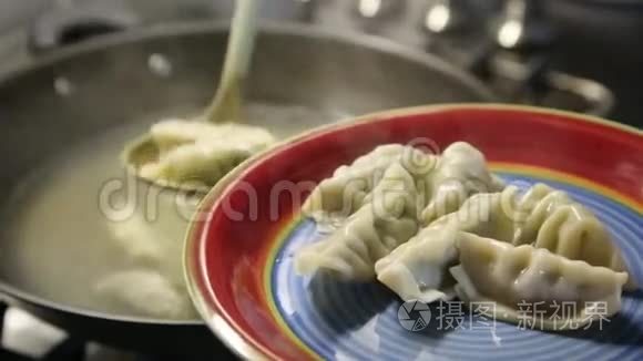 供应中国饺子视频