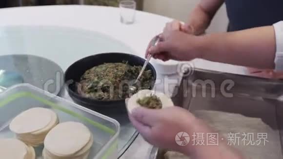 用菠菜手工制作中国饺子的过程视频