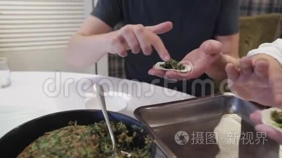 用菠菜手工制作中国饺子的过程视频