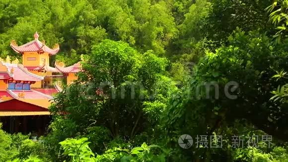 东方寺大厦屋顶热带植被高清电视