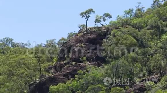 一座岩石山上生长着绿色植物视频