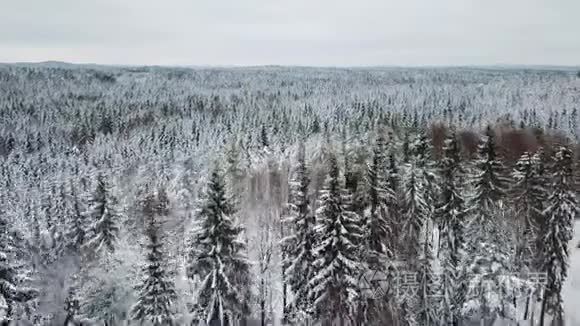 在寒冷的冬天快速地飞越大森林