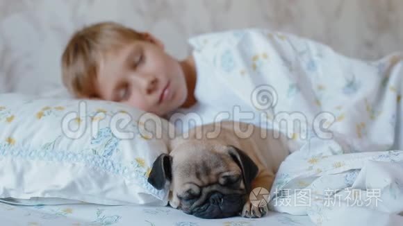 小白孩和小狗狗睡在床上视频
