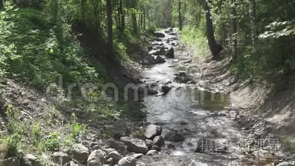 林溪流过落叶的夏木视频