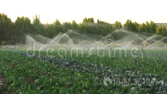 绿色菜园的灌溉系统