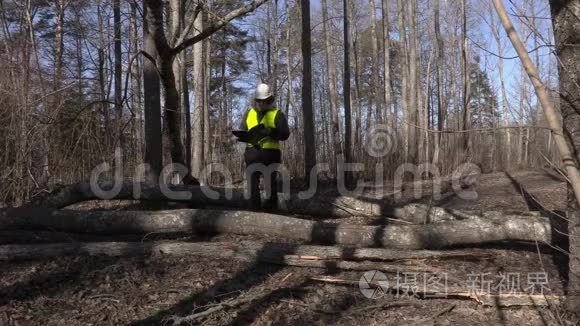 伐木工人检查公园里倒下的树视频