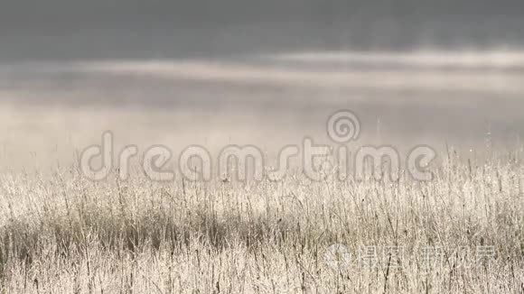 清晨的薄雾从水中升起视频