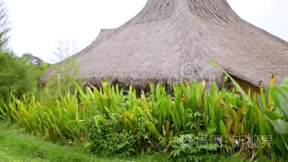 巴厘岛稻田和住宅的鸟瞰图视频