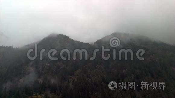 格雷斯尼山谷一片森林的全景视频