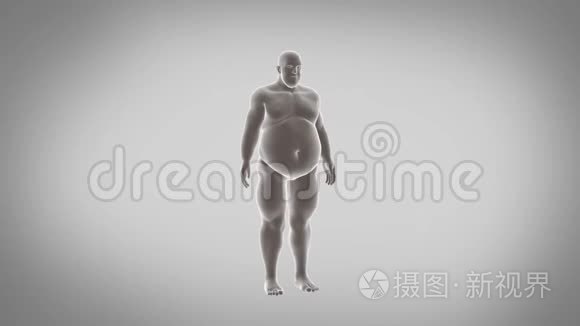 胖子减肥视频