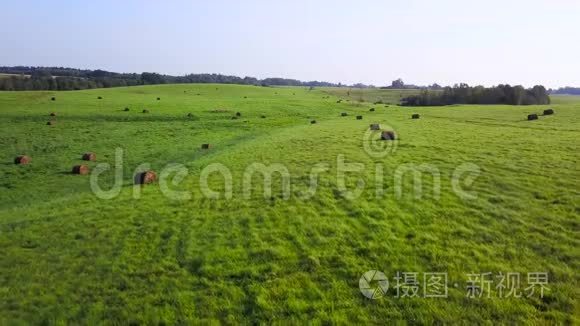 一片片干草躺在乡间草地的绿草上。 航空测量