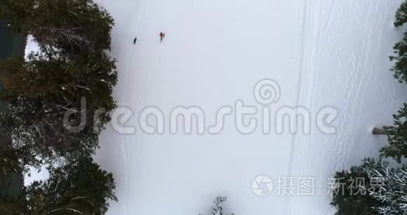 带着狗在雪地森林里散步的人视频