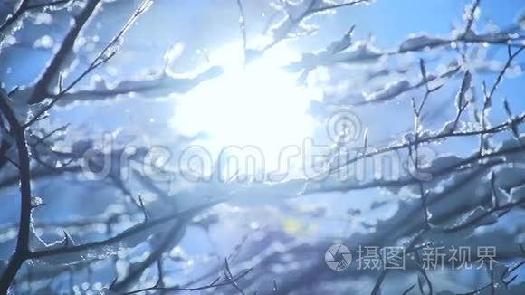 雪树雪降慢魔冬情视频