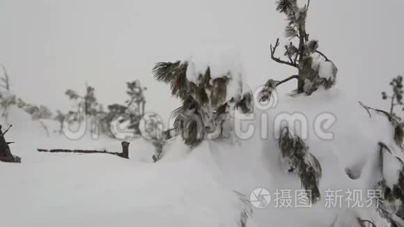 暴风雪过后下大雪视频