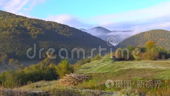 山坡上的常绿森林笼罩在低矮的云层中，形成梦幻般的景观，