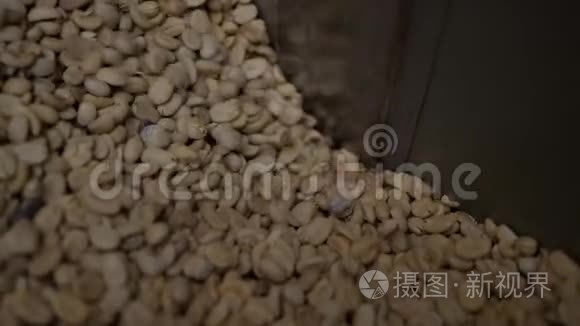 咖啡豆的分类和分级视频