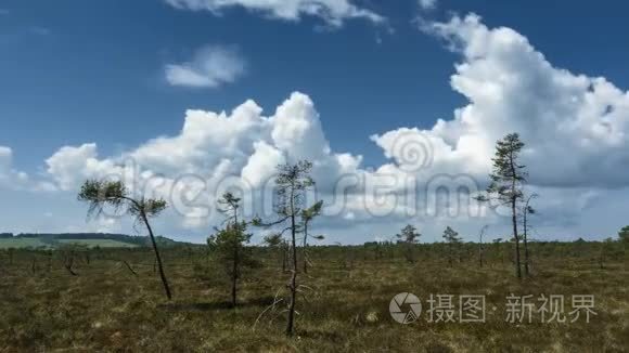 在黑色的沼地上发展云视频