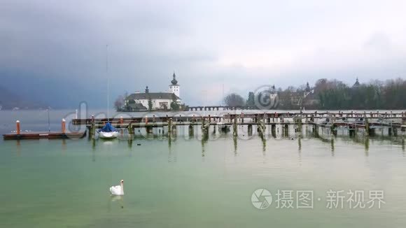 奥地利格蒙登特劳恩湖上的天鹅视频