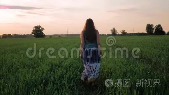 年轻的女孩带着微笑，直发，穿着一件长裙，沿着绿色的田野奔跑。 夕阳西下。 慢动作