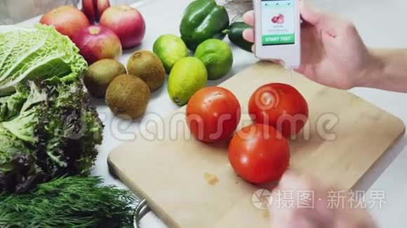 番茄硝酸盐含量的测定视频