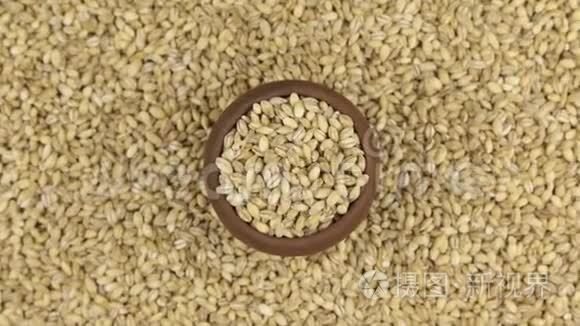 珍珠大麦站在一堆谷物上，走近罐子。