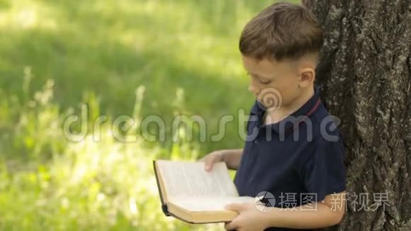 一个男孩正站在树旁看书