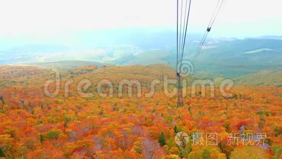 秋季客家山森林的自然色彩视频